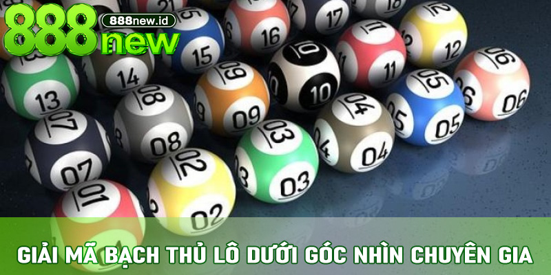 Giải Mã Bạch Thủ Lô Dưới Góc Nhìn Chuyên Gia