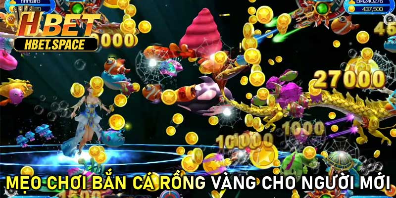 Mẹo Chơi Bắn Cá Rồng Vàng Cho Người Mới